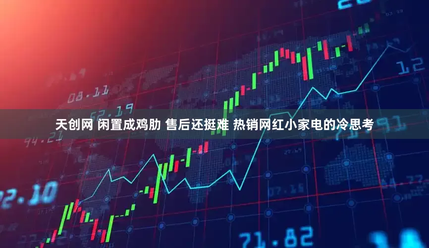 天创网 闲置成鸡肋 售后还挺难 热销网红小家电的冷思考