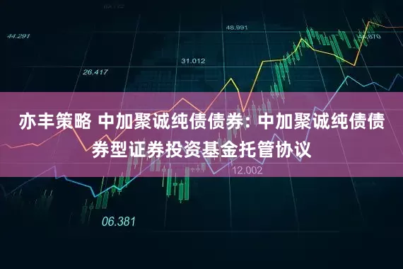 亦丰策略 中加聚诚纯债债券: 中加聚诚纯债债券型证券投资基金托管协议