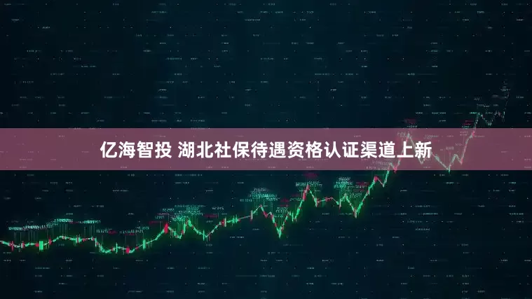 亿海智投 湖北社保待遇资格认证渠道上新