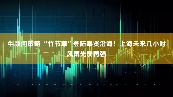 牛顾问策略 “竹节草”登陆奉贤沿海！上海未来几小时风雨先弱再强