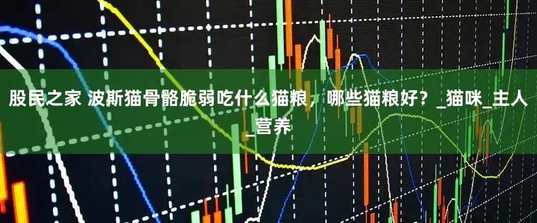股民之家 波斯猫骨骼脆弱吃什么猫粮，哪些猫粮好？_猫咪_主人_营养