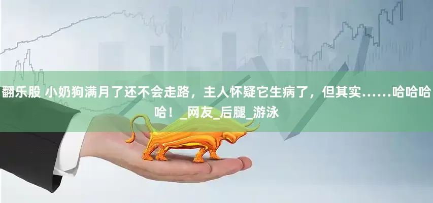 翻乐股 小奶狗满月了还不会走路，主人怀疑它生病了，但其实……哈哈哈哈！_网友_后腿_游泳