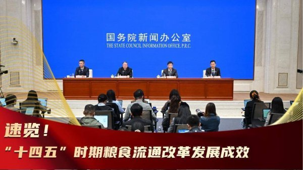 环球策路 速览！“十四五”时期粮食流通改革发展成效
